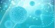 dobre bakterije DNK lanca – probiotici i mikrobiom