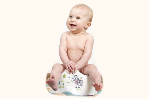 Toilet training regression