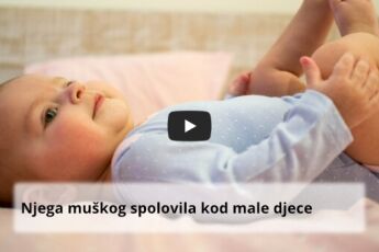 Njega muškog dječjeg spolovila - littledot
