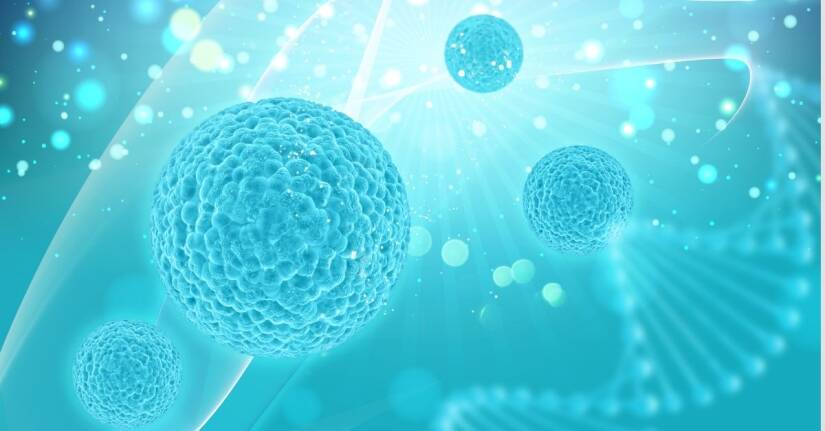 dobre bakterije DNK lanca – probiotici i mikrobiom