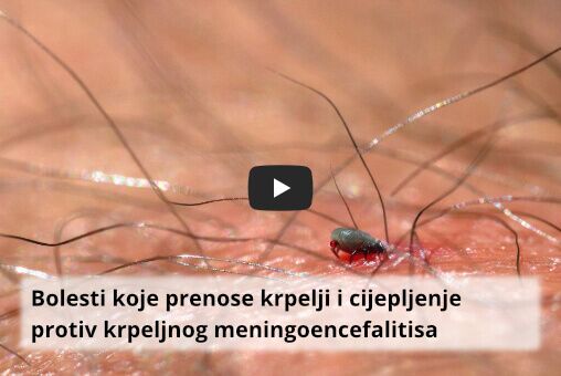 krpelji i krpeljni meningoencefalitis